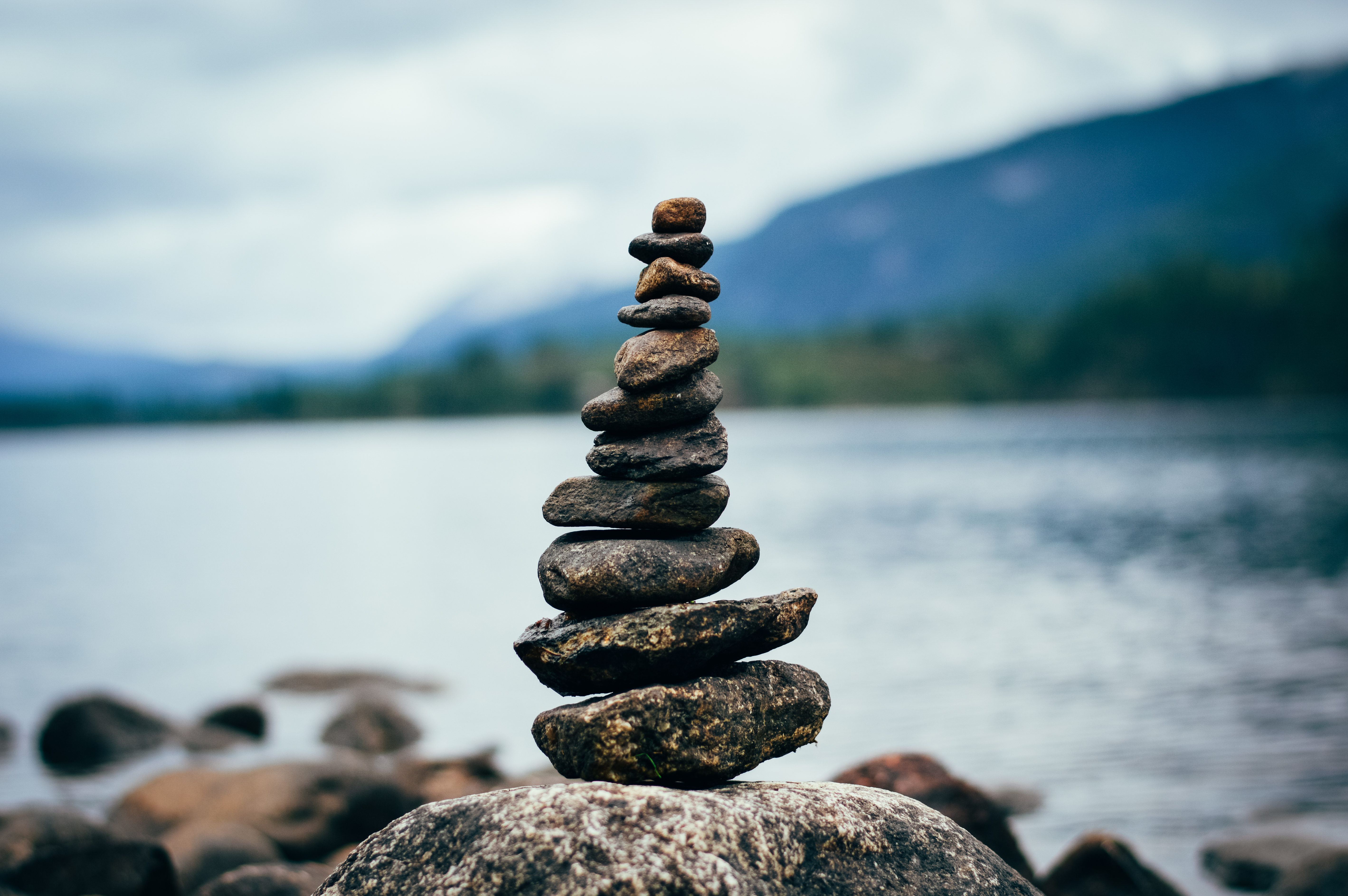 Focusing-Oriented Therapy — Sil Machado, Ph.D.