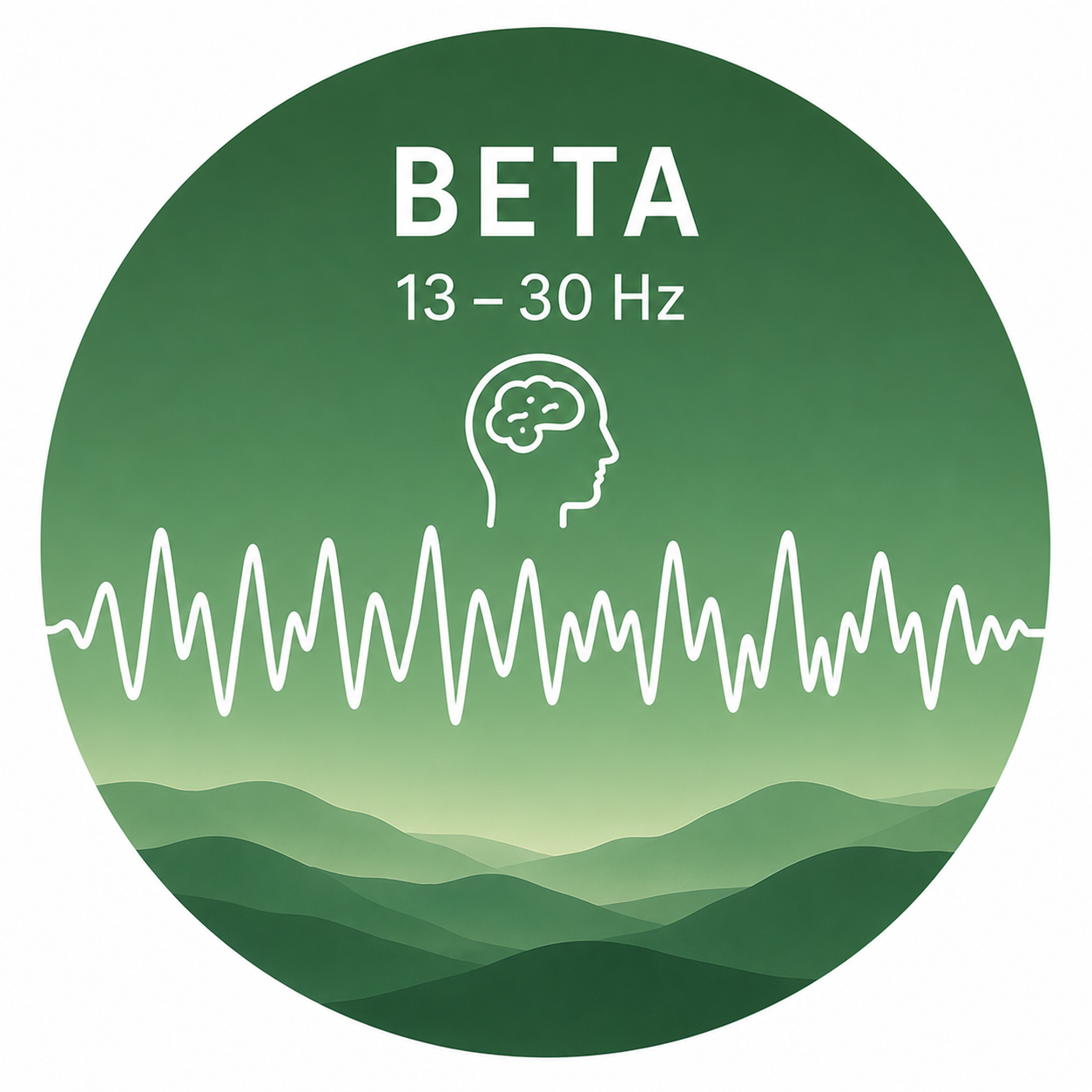 Beta brainwave — Beta (13–30 Hz)