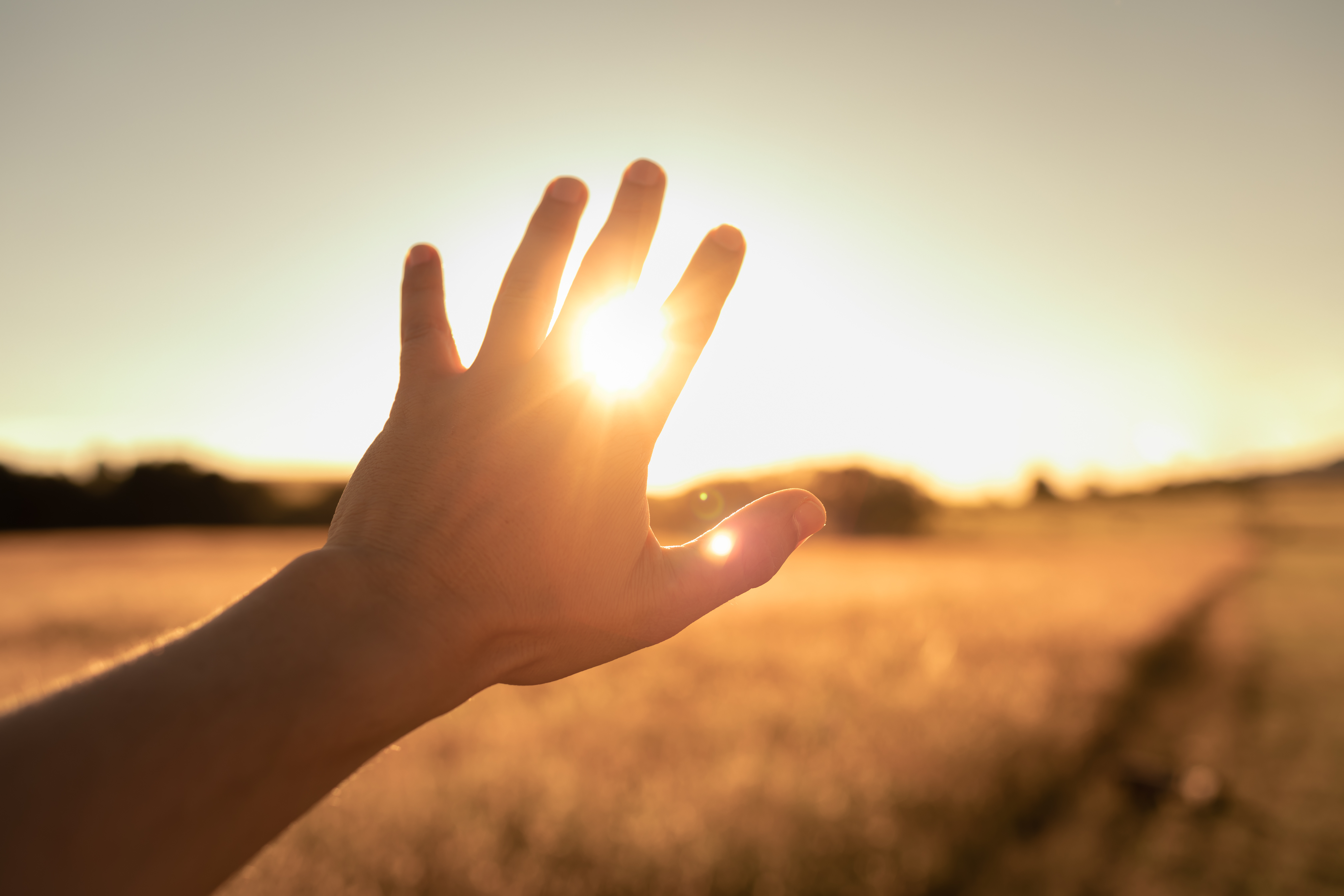 Hands-on somatic therapy in Petaluma